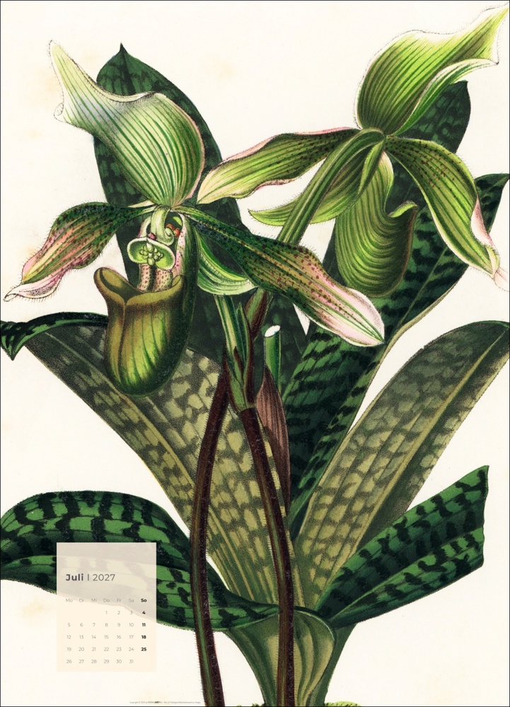 Botanicals