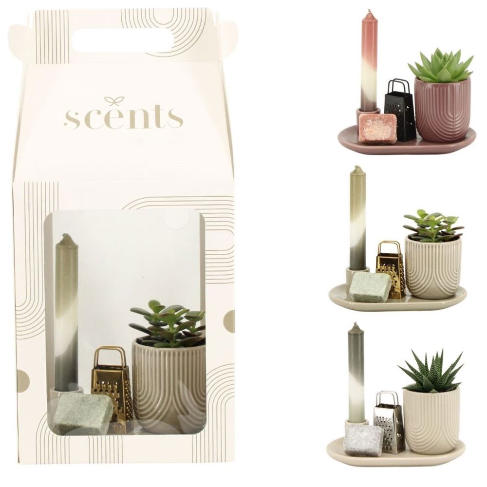 Aromatic Giftset large