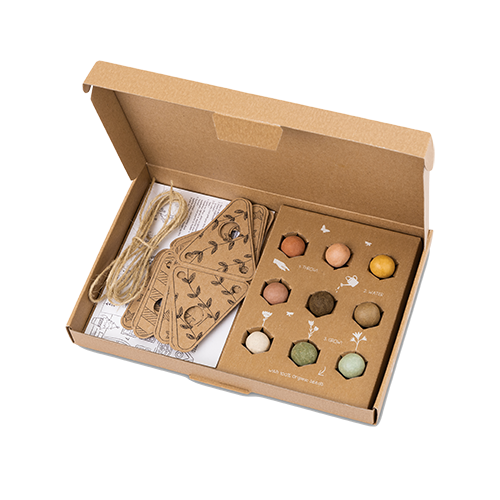 Blossombs Blumenbombe -  Giftbox DIY Girlande