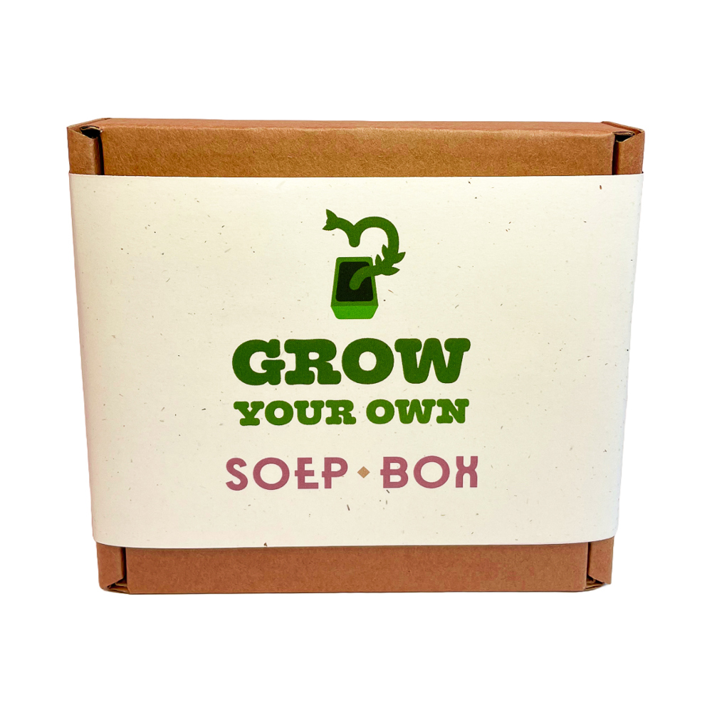 Gemüsekiste set 6 Stück