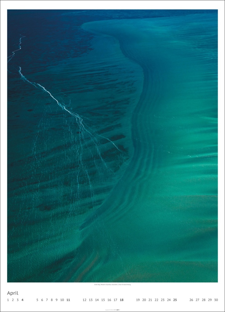 Art of Nature