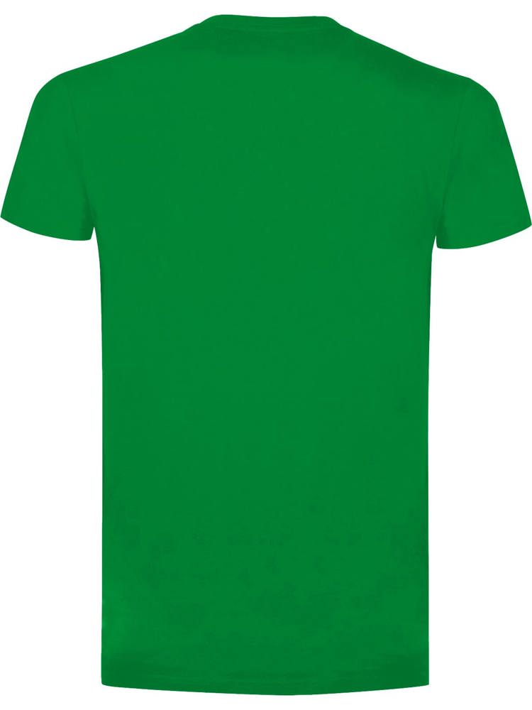 BS Evolution T-Shirt, 150 g/m2, 100 % Baumwolle - Kelly Green