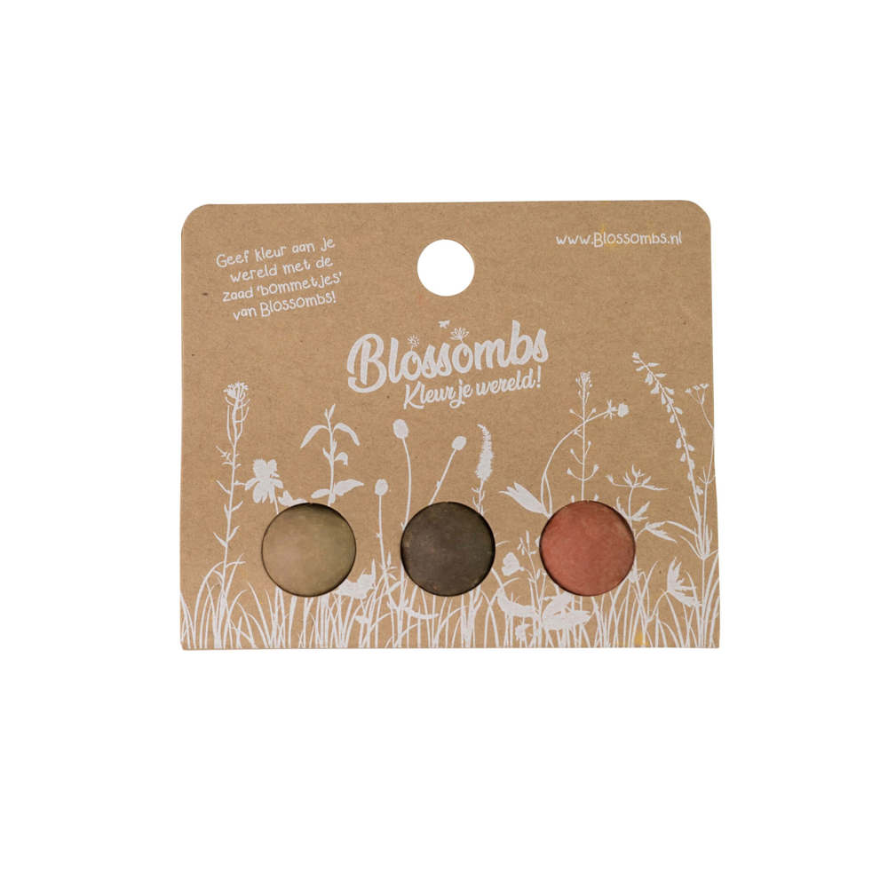 Blossombs Blumenbombe -  Blister 3 Stück