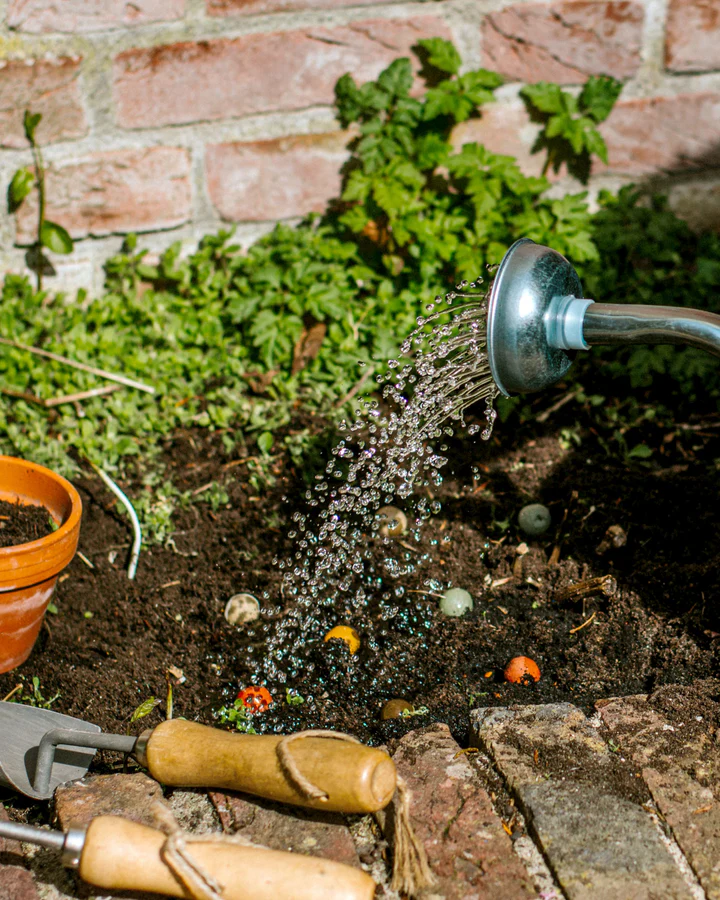 Blister-Karte Andere Themen